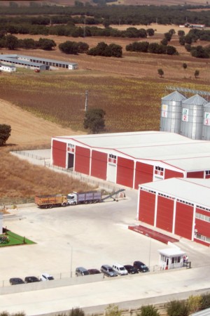 ARBEL ÇELTİK